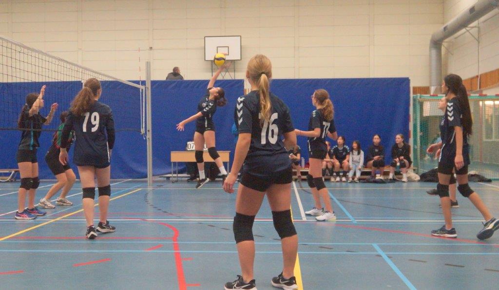 DSC09978 MC1
